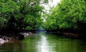 Sundarban