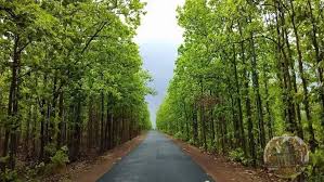 Joypur